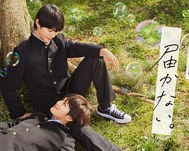 seo网站优化和sem管理怎么做